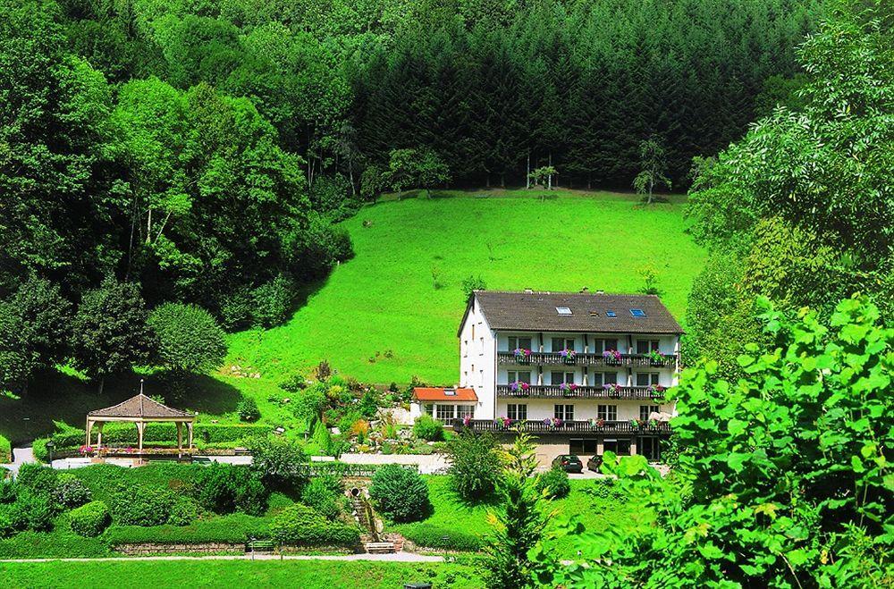 Flair Hotel Adlerbad บาด ปีเตอร์สตัล กรีสบาค ภายนอก รูปภาพ
